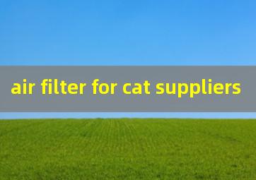 air filter for cat suppliers